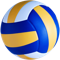 Voleybol
